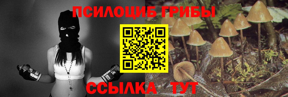 Галлюциногенные грибы MAGIC MUSHROOMS Златоуст